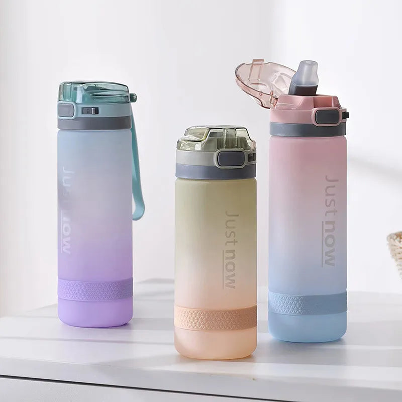 Gourde Sport Inox design ombré moderne